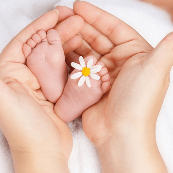 Postpartum Services